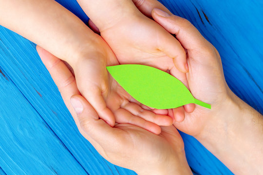 Top view of green paper leaf in hands of adult and child on wooden blue background. Concept of world environment day, world health day and Earth day. Close up.