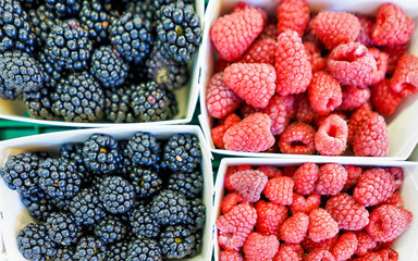 Mix of fresh raspberry and blackberry reflex