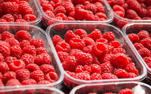 Red raspberry reflex