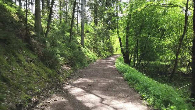 Wallonie bois foret Belgique environnement