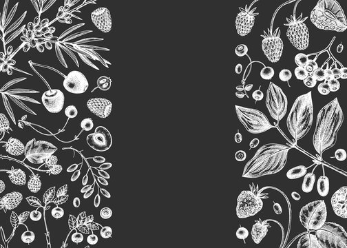 Hand drawn berries design on a chalkboard. Wild berries and flower template Hand drawing. Vintage forest plants sketch. Summer berries outline. 