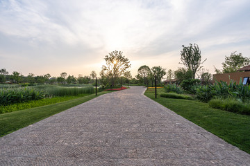 road in city park