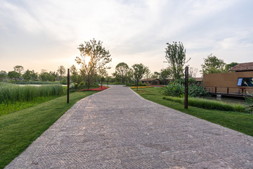road in park
