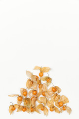 orange physalis berries on a white background