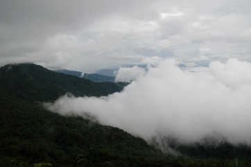 Misty mountain in the north of Thailand, green and fresh condition