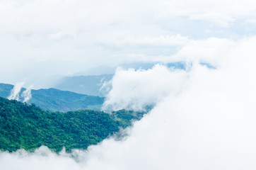 Misty mountain in the north of Thailand, green and fresh condition