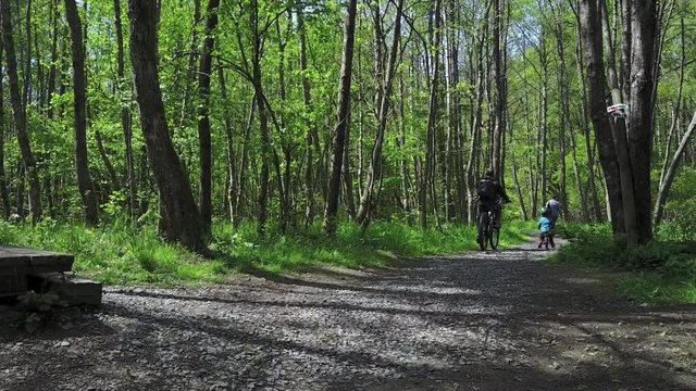 bois foret balade VTT mountainbike famille parent enfant