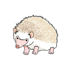 ハリネズミ