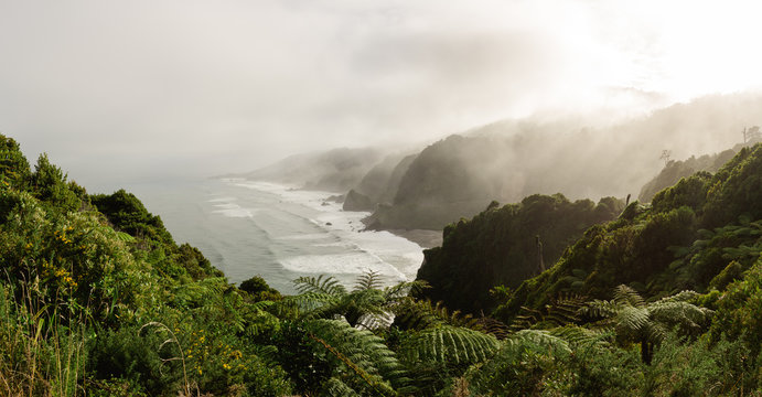 Beach View in New Zealand. 
