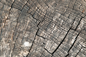 Fototapeta premium Close up old beautiful rich wood texture background with cracks for design and text. Horizontal image.