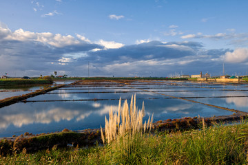old salt marshes at sunset in Aveiro
