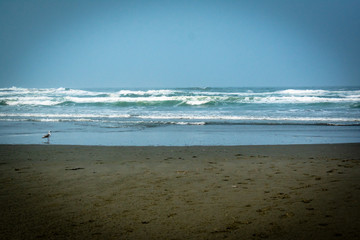 waves on the beach