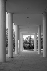 Access to the outdoor garden by a hall with columns. Black and white.
