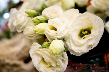 Beautiful flowers. Background. bright colours