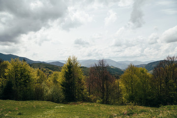 Fototapeta na wymiar Spring in mountains. Beautiful mountain landscape, deciduous forest and cloudy sky. Nature is waking up