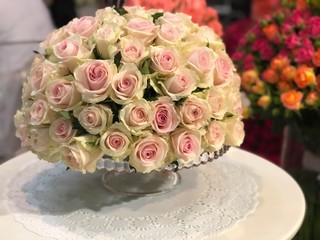 Beautiful flowers. Background. bright colours