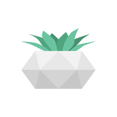 Succulent in concrete geometric pot. Vector isolated trendy flower