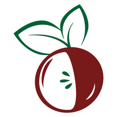 Vector apple. Fruit illustration for farm market menu. Healthy food design