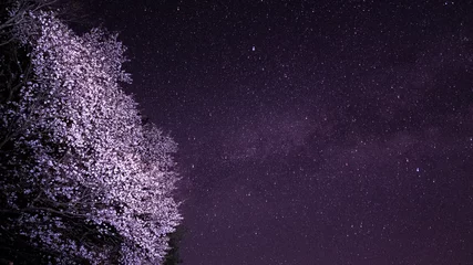 Fotobehang 桜と星空 © Masato Photography