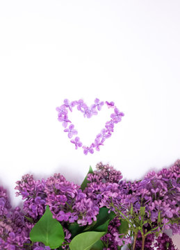 Heart made of fresh spring violet lilac flowers on the white background isolated. Top view. Free copy space. Horizontal image. Green leaves