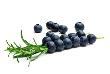 Rosemary stick with blueberry for cocktail isolated on white