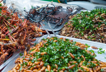 Deep Fried Insects, Street Food