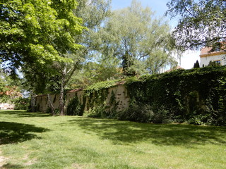 Fototapeta na wymiar old stone wall with trees