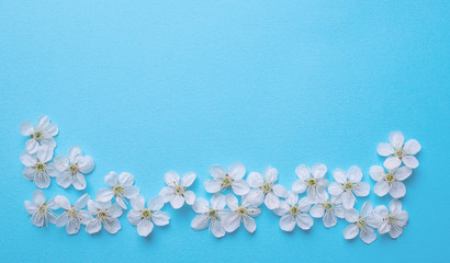 sheet for writing on a light blue background with cherry flowers