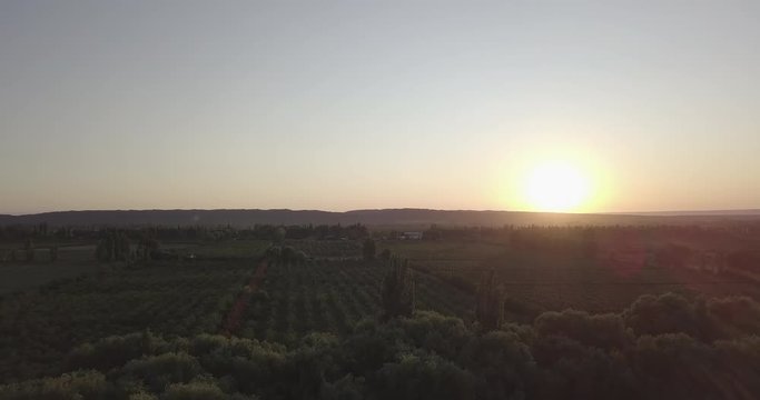 Ungraded, Straight aerial flight over fields towards mountain range's sunrise at golden hour. Drone, 4K. 
Valle de Uco, Tupungato, Mendoza, Patagonia, Argentina