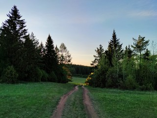rural road on a mountainside between trees and among green grass against a beautiful evening sky