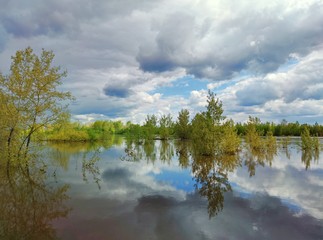 flooded riverbank with trees in the water against a very beautiful blue sky with clouds