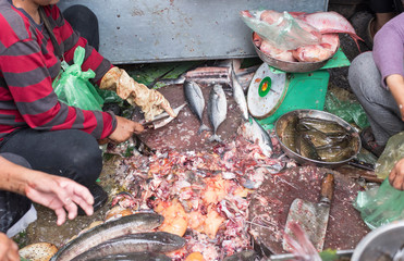 Cleaning fish at a Kandal market stall in Phnom Penh in Cambodia