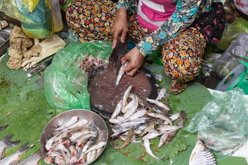 Fish stall with sardines at the Kandal market in Phnom Penh in Cambodia