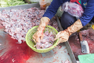 Squid fish stall at Kandal market in Phnom Penh in Cambodia