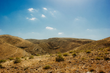 Desert Neguev Israel