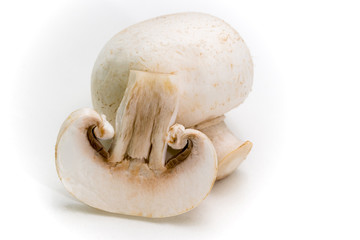 Two white mushroom mushrooms, one cut in two, on a white background, edible fresh mushrooms.