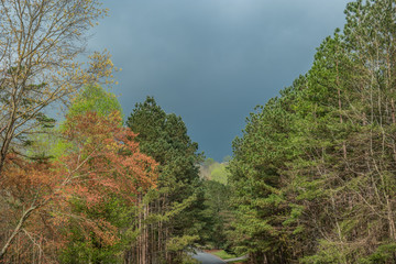 Stormy skies in springtime
