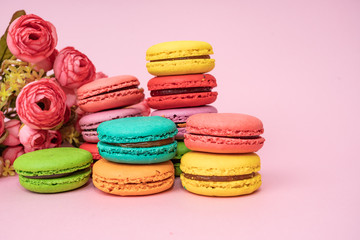 Multicolored macaroons on pink background. Sweet and colourful french macaroons