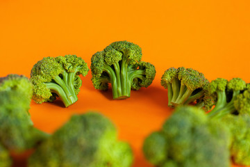 slices of green broccoli cabbage on a bright isolated orange background