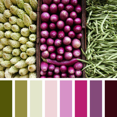 Vegetable triptych palette