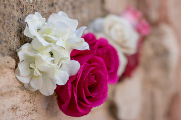 flowers in the cementery
