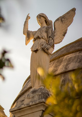 angel statue in cemetery