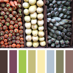 Vegetable triptych palette