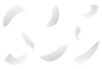 舞い落ちる白い羽 © Chibiko