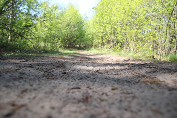 Hiking trail
