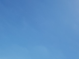 Ein wundervoller Tag