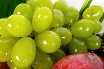 green grapes. White background. close view. top view. isolated

