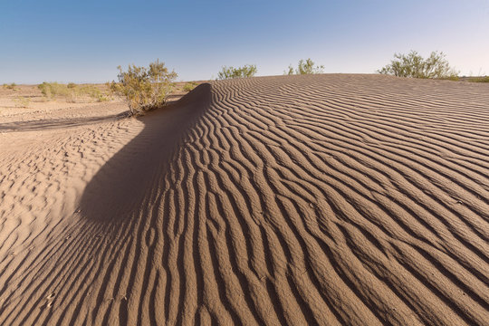Landscape in the desert in the town of M&yen;Hamid
