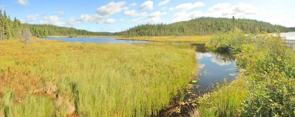 Terra Nova National Park, Newfoundland, Canada