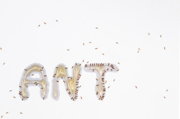 many ants around word  ANT on white background.